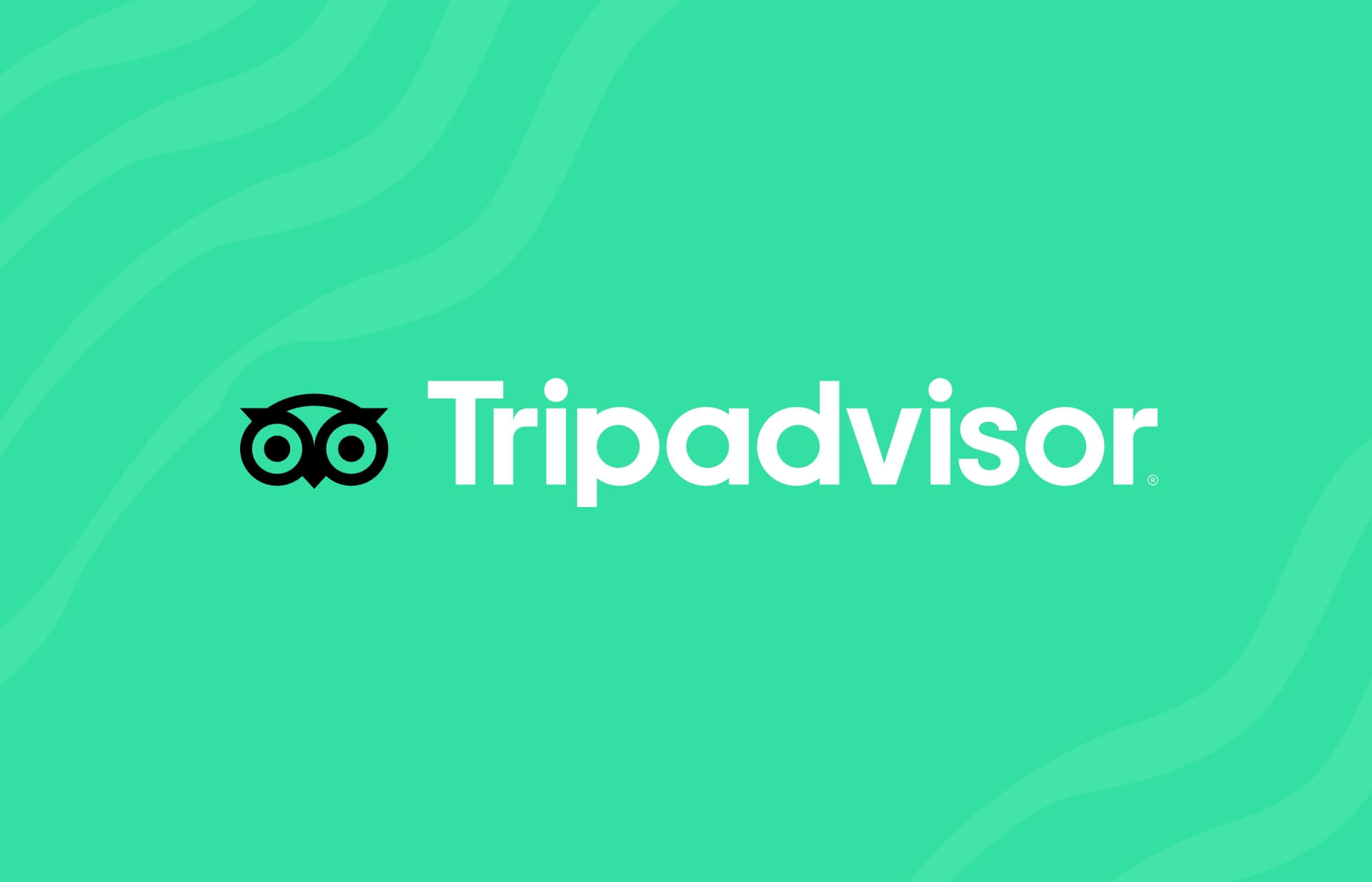 tips Tripadvisor