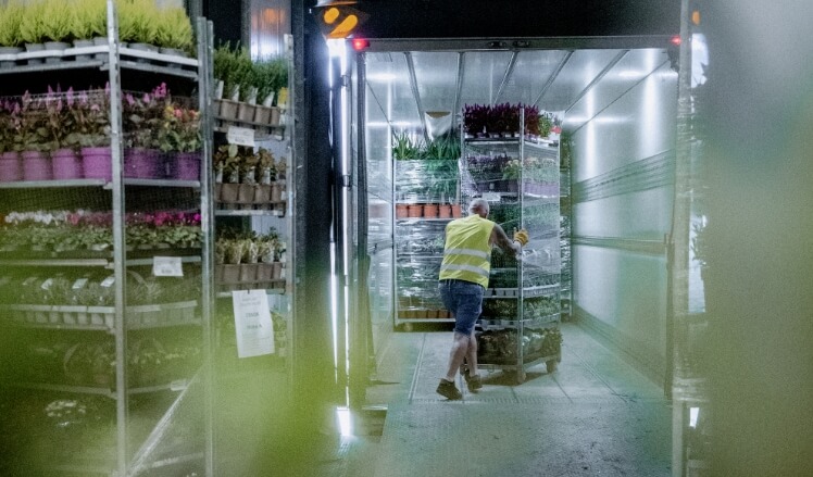 Hamiplant sfeerbeeld